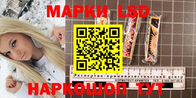 гашик Кулебаки