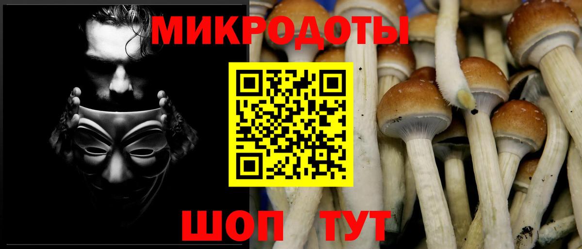 Псилоцибиновые грибы ЛСД  Вход с VPN  Биробиджан  Псилоцибиновые грибы Cubensis 