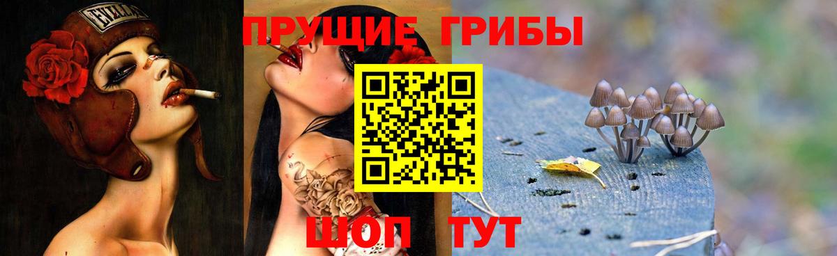 Псилоцибиновые грибы MAGIC MUSHROOMS Биробиджан